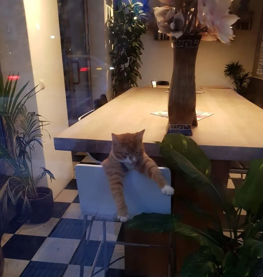 Hotel Mosaic City Centre Άμστερνταμ Ολλανδία